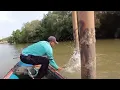 Download Lagu Sungai sekecil ini,!!!,,tapi ikan tompelnya besar besar #mancing