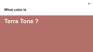 Terra Tone color hex color - Red color