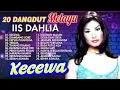 Lagu BAGAI RANTING YANG KERING - IIS DAHLIA - Kumpulan Lagu Dangdut Lawas Terbaik - Full Album Original