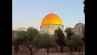 مباشر اسعد الله مسائكم من رحاب المسجد الاقصى المبارك 