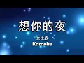 Xiang Ni De Ye   想你的夜   女版伴奏 Karaoke