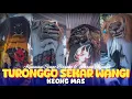 Lagu TURONGGO SEKAR WANGI KEONG MAS - PURWOKERTO PATEBON 03 • 07 • 2024 || BARONGAN