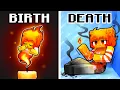 BIRTH to DEATH of an ELEMENTAL