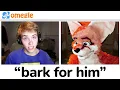 Omegle Do What We Say