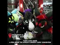 Download Lagu Furry fans unite! A peek inside the world's largest furry convention