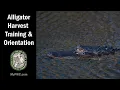 Alligator Harvest Training and Orientation 2021