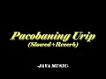Download Lagu Denny Caknan ft Eri Pras-Pacobaning Urip[slowed]
