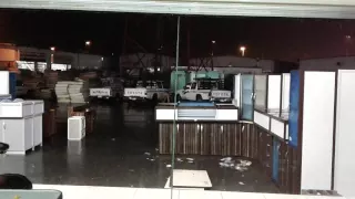 لفلف دندنها