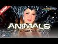 Download Lagu DJ PARTY ANIMALS !! DJ CEK SOUND PARTY !!