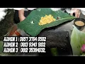 Download Lagu LiVE, KAPSUL BROJO SEKTI(SOLAWAT ANNURIDZATI)