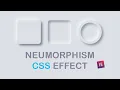 How To Create Neumorphism Effect With CSS HTML CSS Effects Elementor Web Cifar 2020