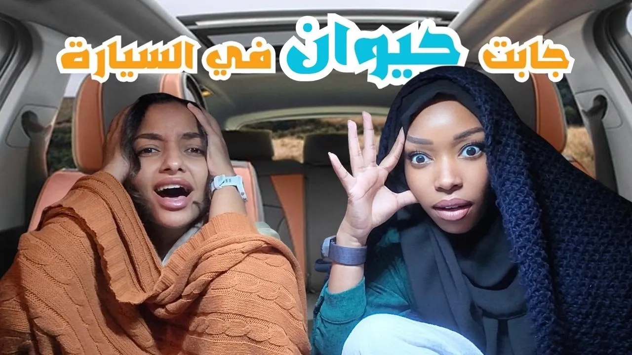 Ana Beeko channel featured image