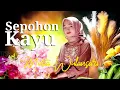 Download Lagu Sepohon Kayu Daunnya Rimbun - Mutia Wulansari | Cover Wafiq Azizah (Official Music Video)