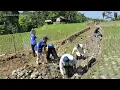 Download Lagu Semangat Gotong Royong Pembangunan Jalan Poros Tengah Desa Cikondang
