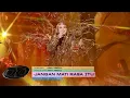Download Lagu Aina Abdul - Jangan Mati Rasa Itu | #AJL38