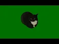 Maxwell The Cat Green Screen