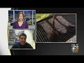 Rib Fest Is Back At Heinz Field