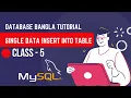 Single Data Insert into Table Class-5 SQL Bangla Tutorial SQL Database learn
