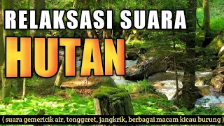 relaksasi suara alam hutan suara air tonggeret dan burung berkicau 