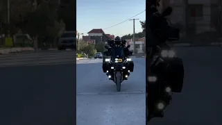                 دندنها