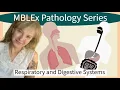 MBLEx Pathology Digestive Respiratory Conditions Every Massage Student Should Know