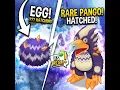 I FINALLY Hatched Rare Pango 100 Happiness
