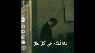 إصدارات ح ب اب ة  قصيدة  واسأل نفسي لماذا أحبك   دندنها