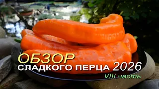 Обзор коллекционных сортов СЛАДКОГО ПЕРЦА сезона 2026 🌶VIII часть | Семена перцев ЗЕЛЕНЫЙ ОГОРОД