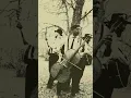 The Dead South - Rox in the Box (Official Visualizer)