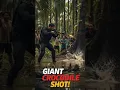 Download Lagu Massive Crocodile Hunted Down in Kalimantan After Attacking Locals!