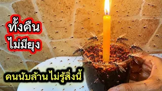 เหลือเชื่อแค่1นาทีไล่ยุงแมลงวันแมลงสาบจิ้งจกตุ๊กแกหายไปนานจนลืมทั้งคืนไม่มียุงนอนหลับสบายบ้านหอมฟุ้ง