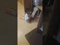 Laughing baby
