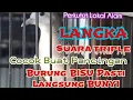 Lagu BURUNG LOKAL GACOR COCOK BUAT PANCINGAN - PERKUTUT LOKAL TUBAN #perkututlokal #perkututkaturanggan
