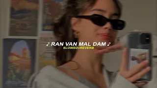 centigradz ranwan maldam slowed reverb 