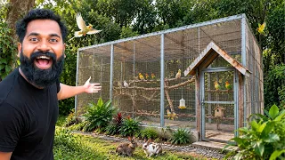 Ep 5 Building A Giant Bird House  | നമ്മുടെ കിളിക്കൂടിന് പണികിട്ടി 🥹🥹🥹 | M4 Tech |