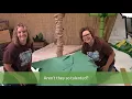 Shipwrecked Decorating Palm Trees
