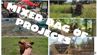 Mixed bag of farm dozers hay cutter 359 peterbilt issues and of course cows