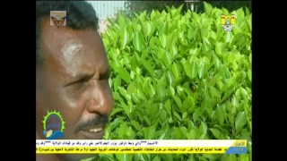 حافظ موسى جواب 