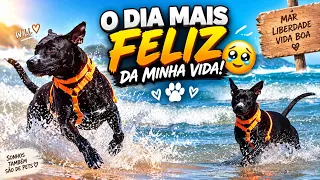 CORRI SOLTO PELO MAR PELA PRIMEIRA VEZ 🥹🌊💙