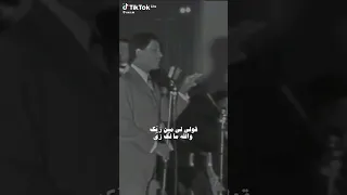 قولي لي من زيك والله مالك زي 