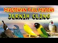 Download Lagu MASTERAN MURAI BATU ROLL TEMBAKAN DAN MUDAH DITIRU UNTUK BURUNG FIGHTER SUARA JERNIH MEWAH