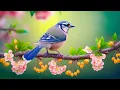 Download Lagu Relaxing music treats diseases of the heart and blood vessels🌿Gentle music, calms the nervous system