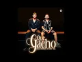 Que Gacho - Luis R Conriquez & Neton Vega (Audio Oficial)