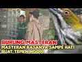 Lagu BURUNG MASTERAN RASANYA SAMPE HATI BISA BUAT TEMEN NGOPI 