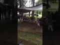 Los viejitos alegres de Michoacán salem