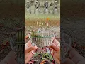 Download Lagu Spooky Scary Skeletons - Beginner Tutorial Tabs #Kalimba #KalimbaCover #Halloween #SpookySeason