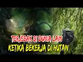CERITA MISTERI KISAH NYATA : TERJEBAK DIDUNIA LAIN KETIKA BEKERJA DIHUTAN