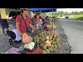 Lagu Hunting Durian Murah//Jambatan Durin