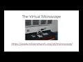 Lab Lesson - January 27