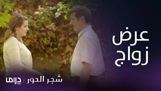 مسلسل شجر الحور الحلقة 24 توماس يعترف لإيليني بحبه ويطلبها للزواج 